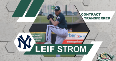RailCats Transfer Strom’s Contract to New York Yankees