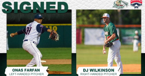 RailCats Sign Pair of Arms