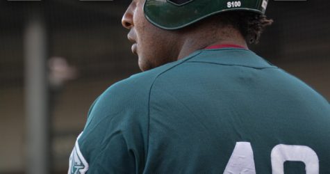 RailCats Pitching Staff Shuts Down ‘Dogs