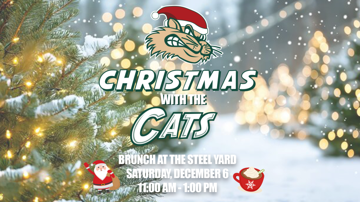 Christmas with the ‘Cats!