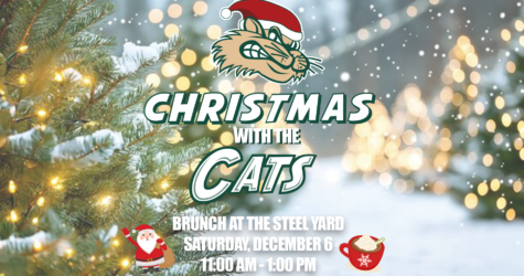 Christmas with the ‘Cats!